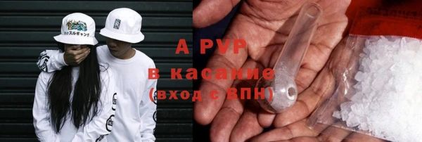 молекула духа Бородино