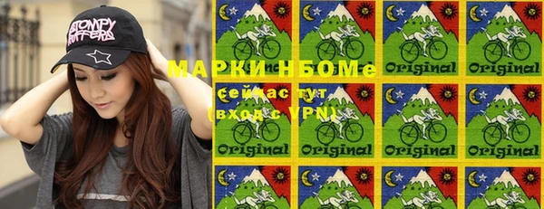 молекула духа Бородино