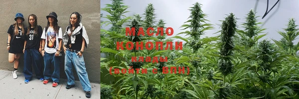молекула духа Бородино