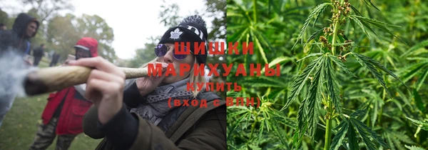 молекула духа Бородино