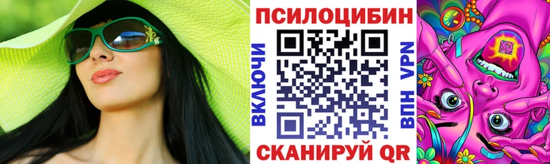 Псилоцибиновые грибы Psilocybe Ворсма